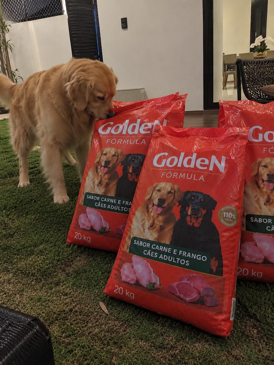 Foto do combo Golden 3x 20kg enviado por Marcos Oliveira